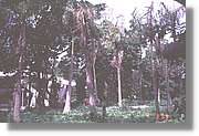 Cuba_160.jpg