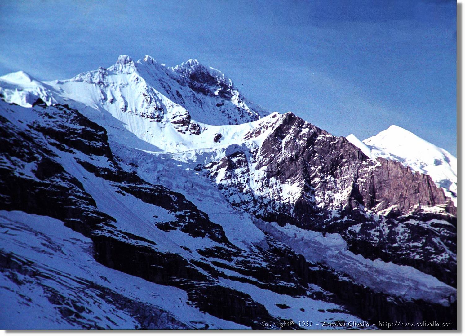 1Suissa_074.jpg