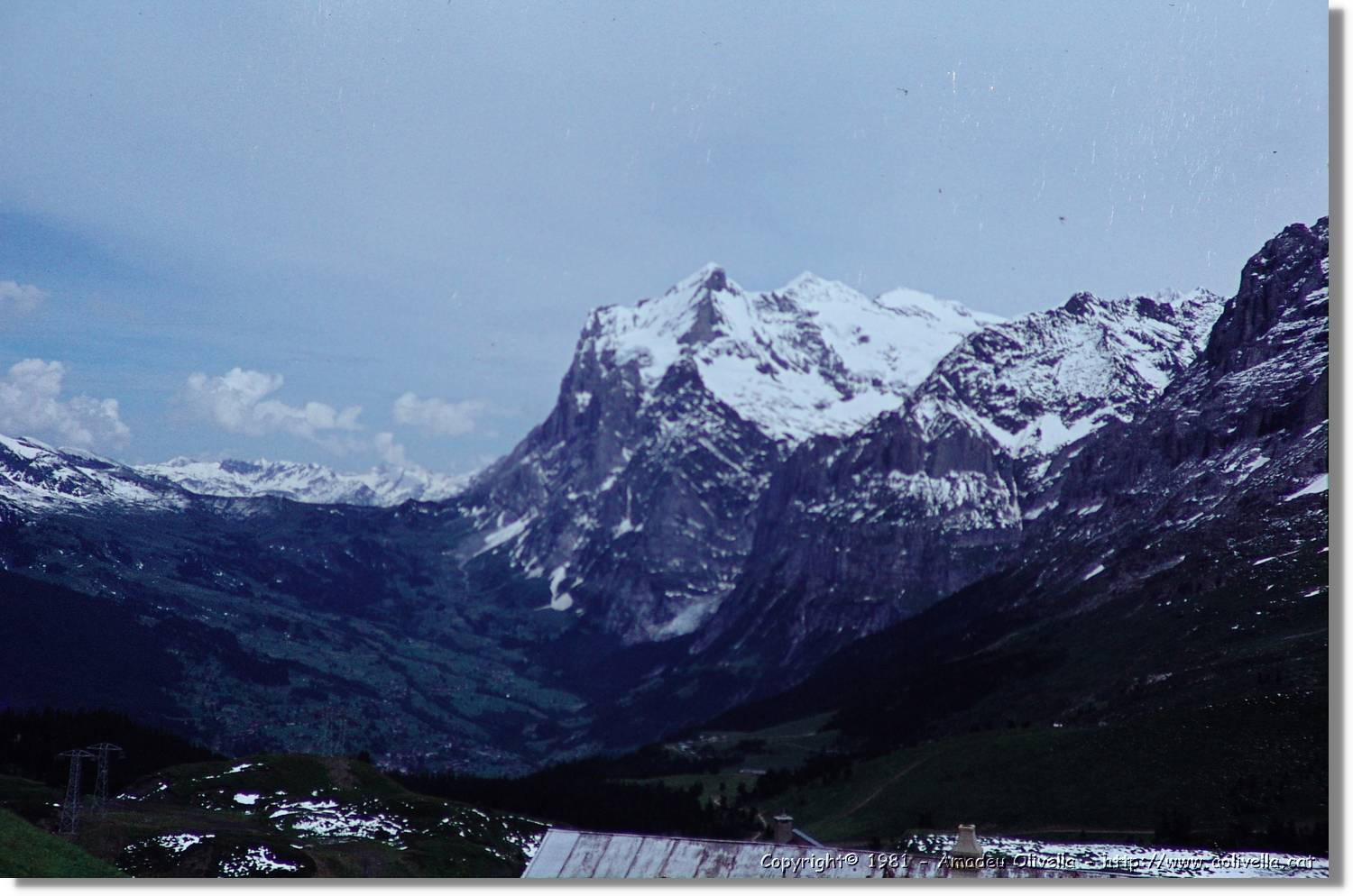 1Suissa_080.jpg