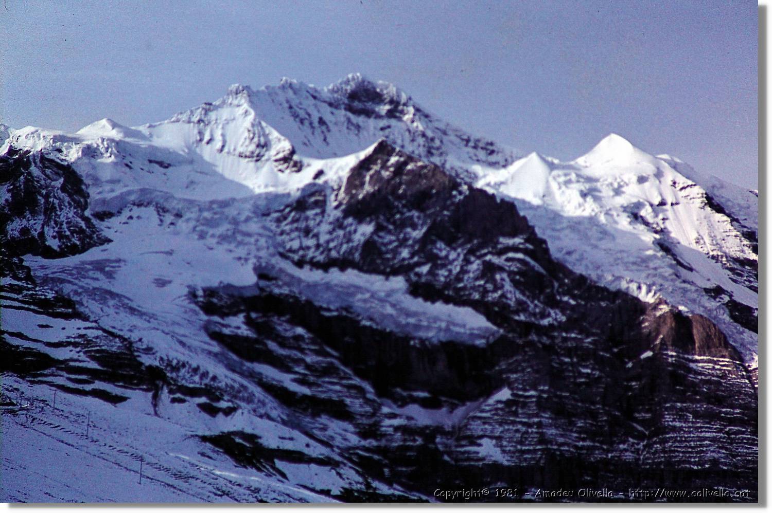 1Suissa_096.jpg