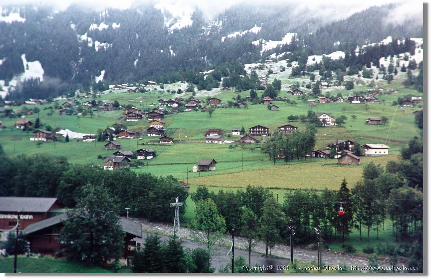 1Suissa_097.jpg