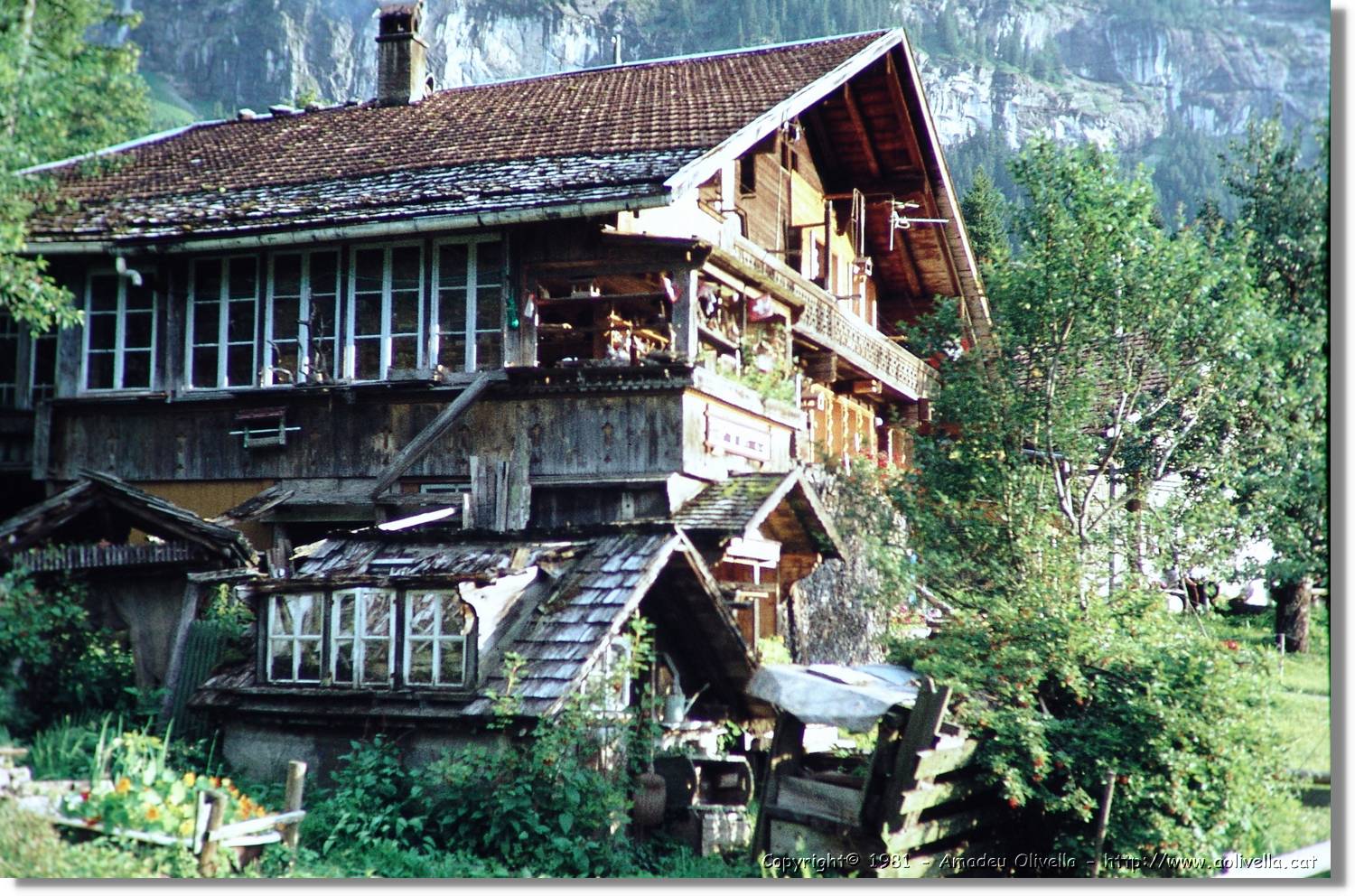 1Suissa_105.jpg