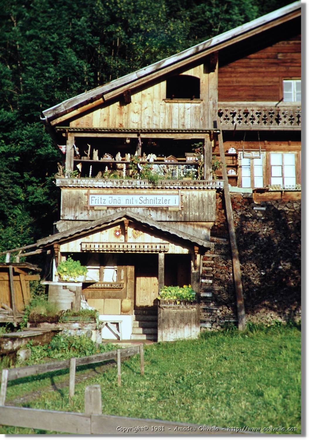 1Suissa_106.jpg