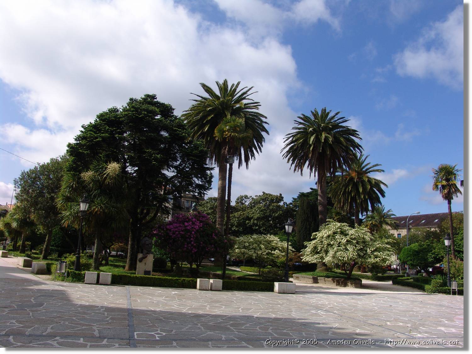 Noia_006.jpg