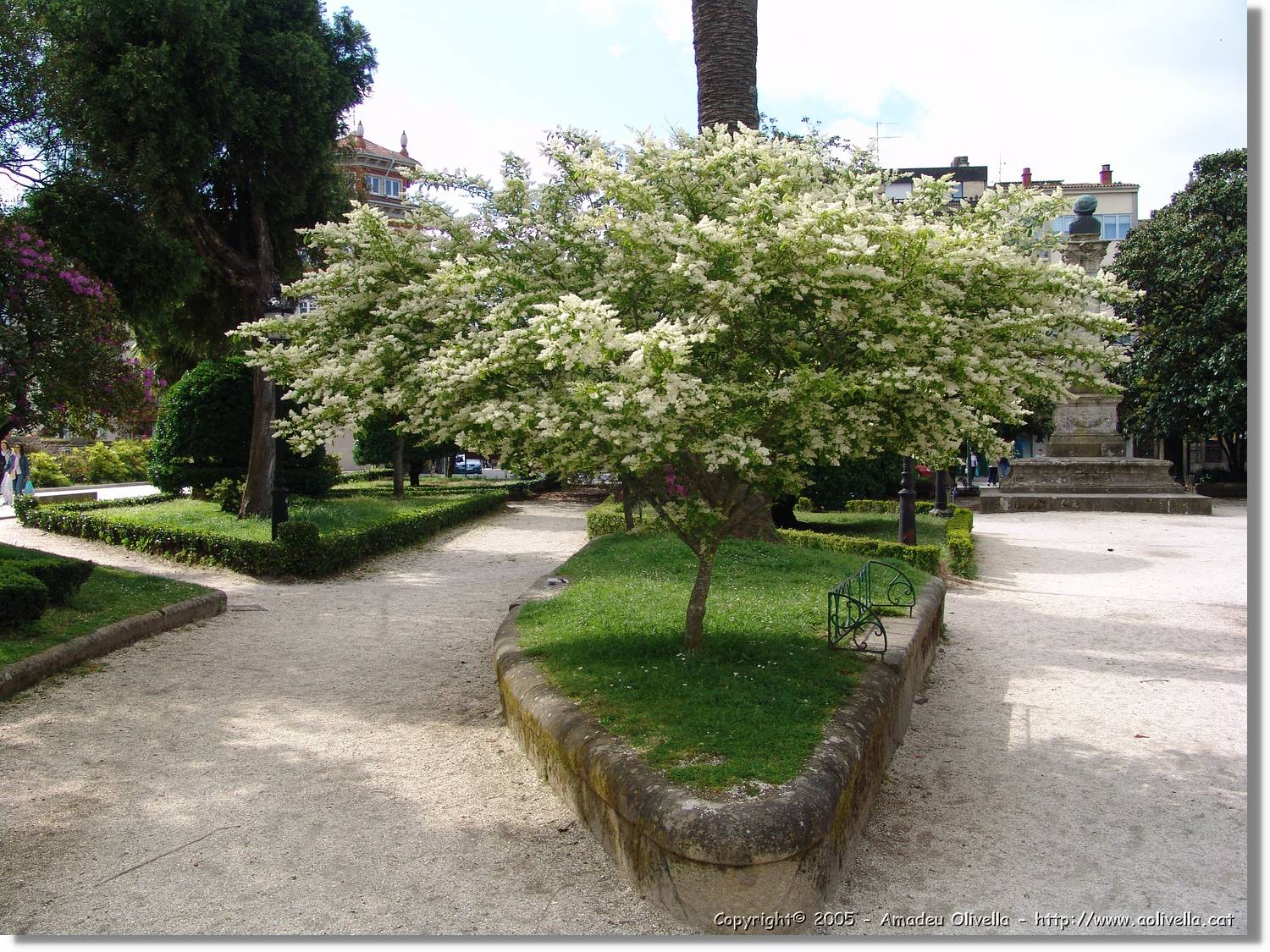 Noia_010.jpg