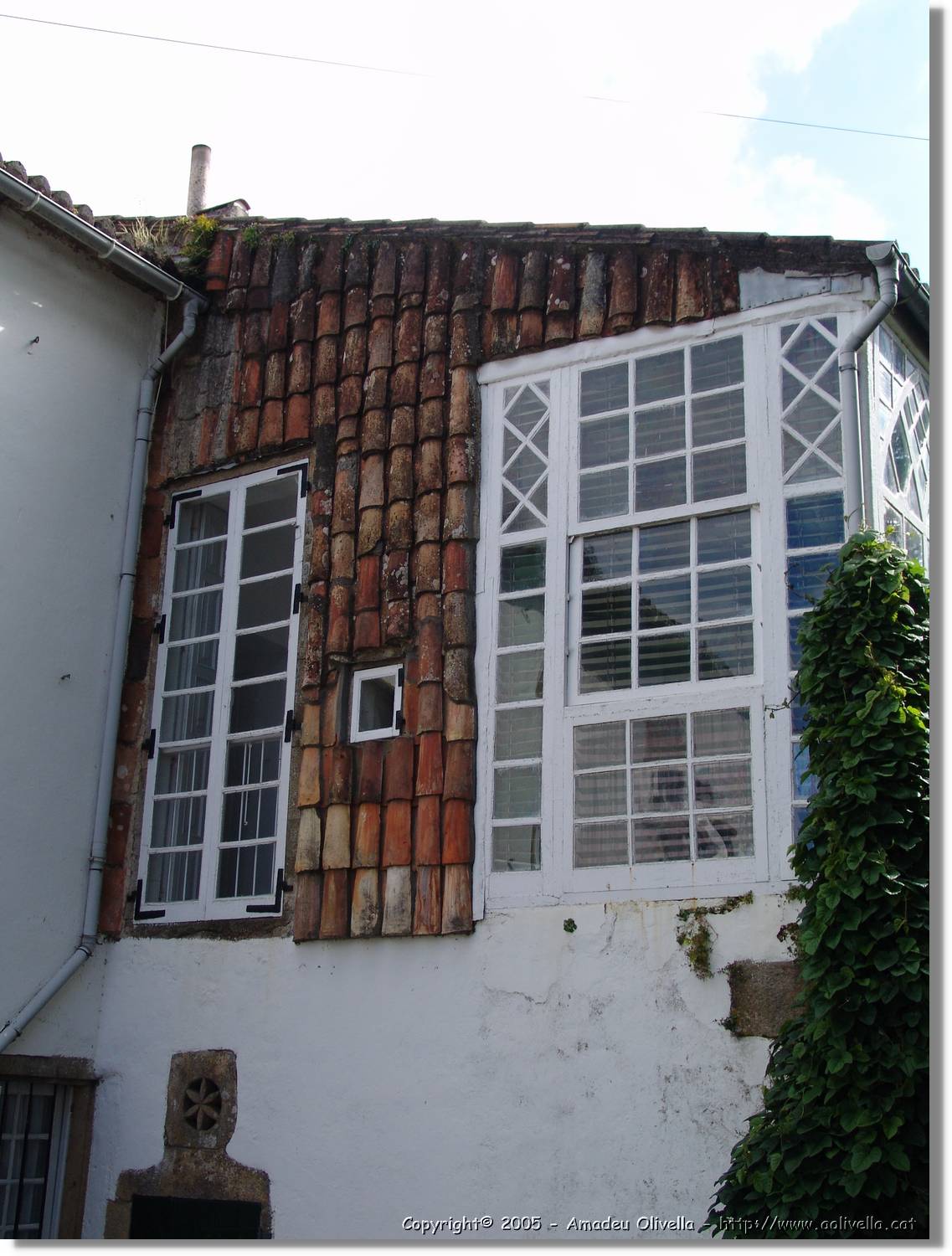Noia_015.jpg