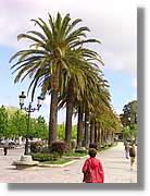 Noia_009.jpg