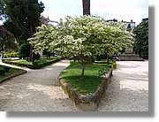 Noia_010.jpg