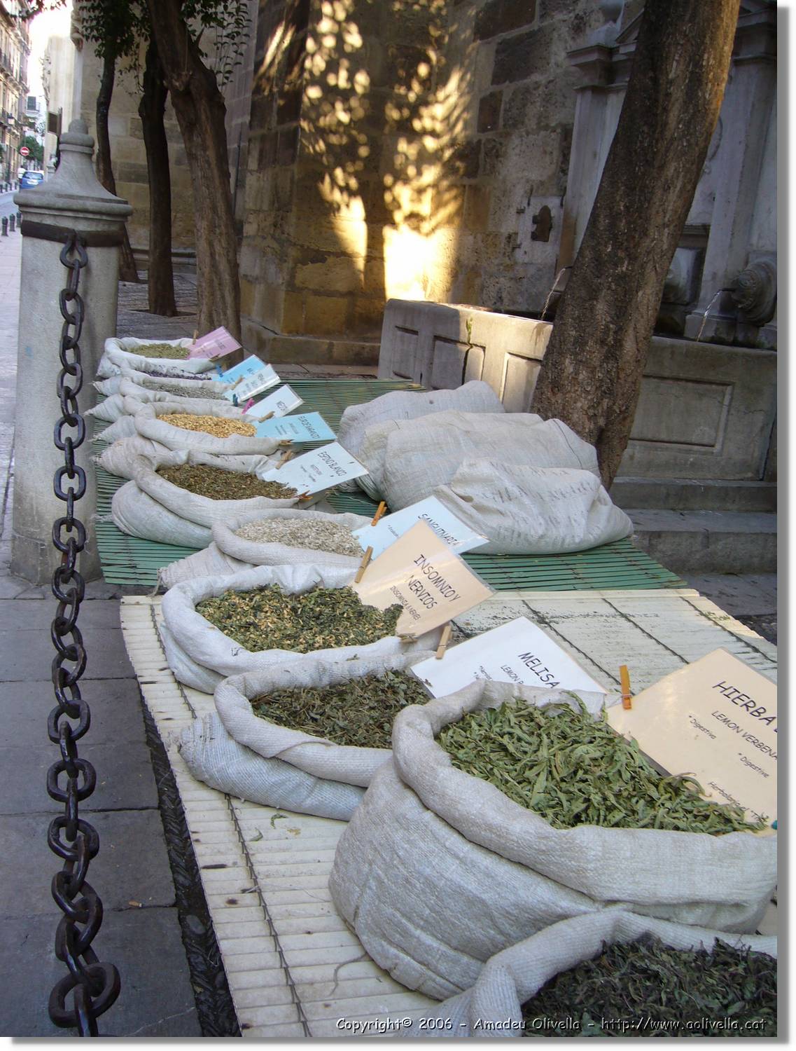 2Granada_059.jpg