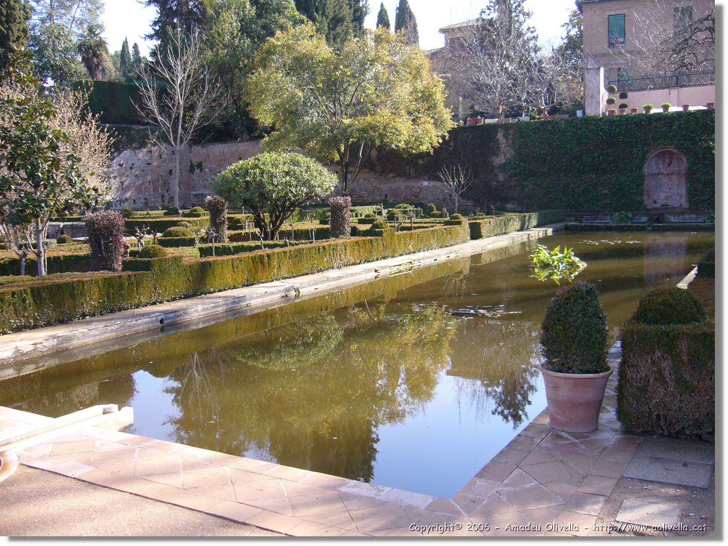 3Alhambra_245.jpg