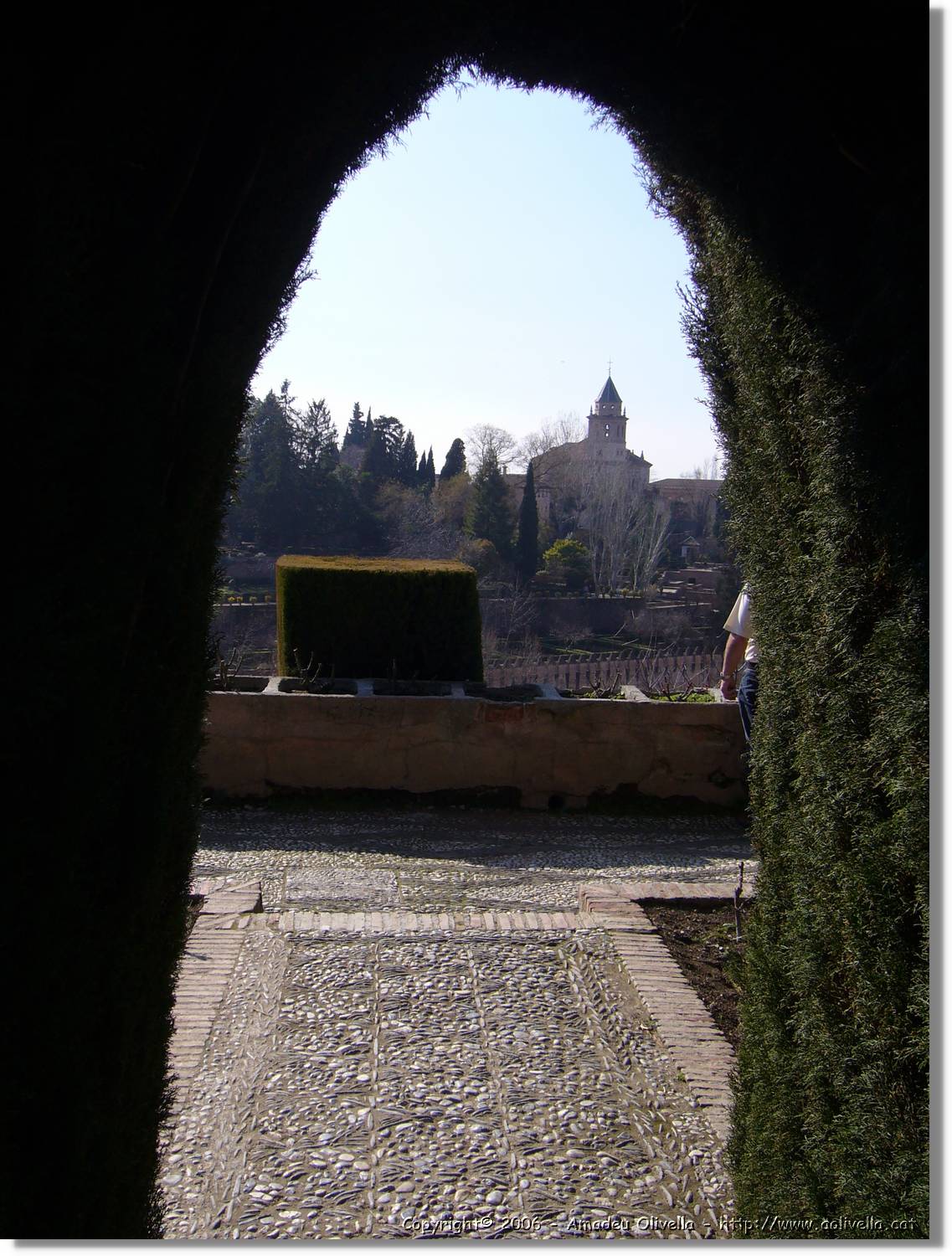 3Alhambra_248.jpg