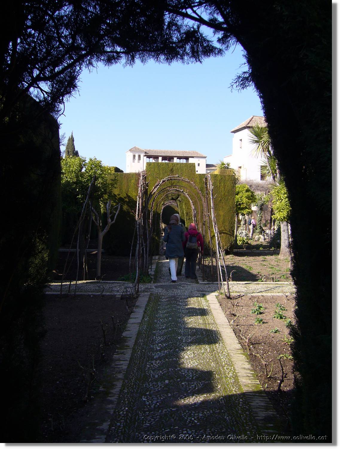 3Alhambra_249.jpg