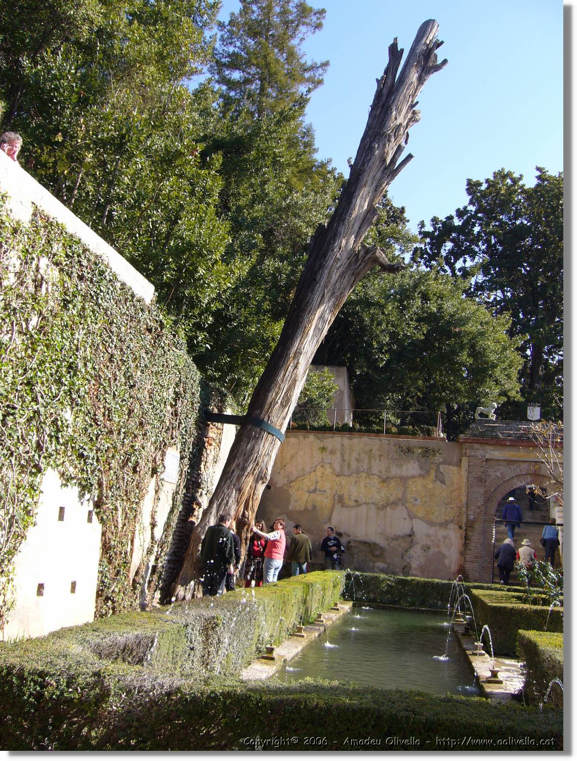 3Alhambra_269.jpg