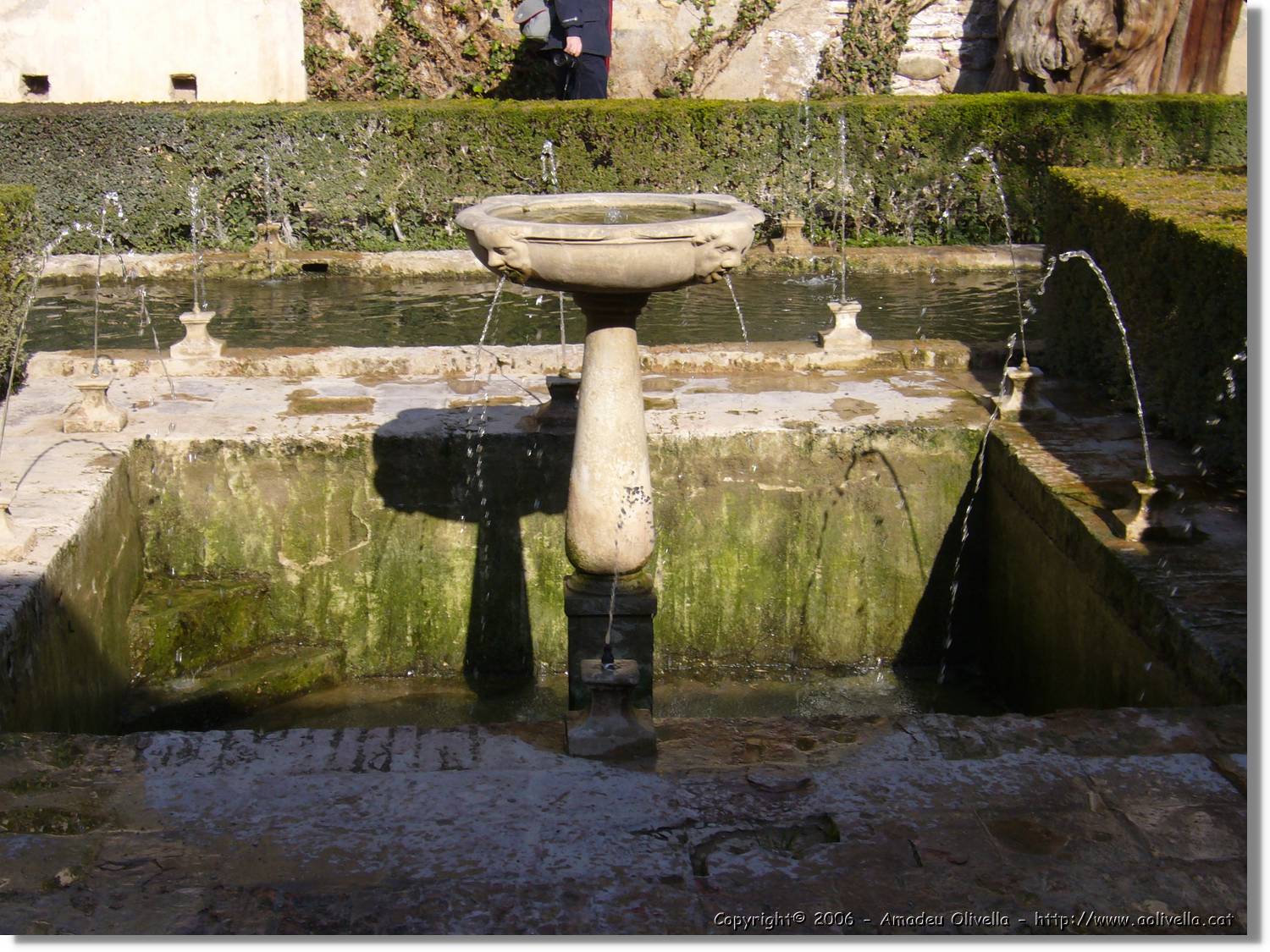 3Alhambra_272.jpg