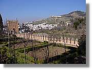 3Alhambra_193.jpg