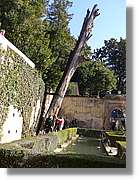 3Alhambra_269.jpg