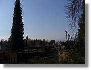 3Alhambra_282.jpg