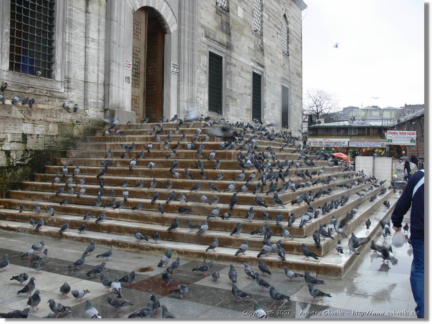 Istanbul_0051.jpg
