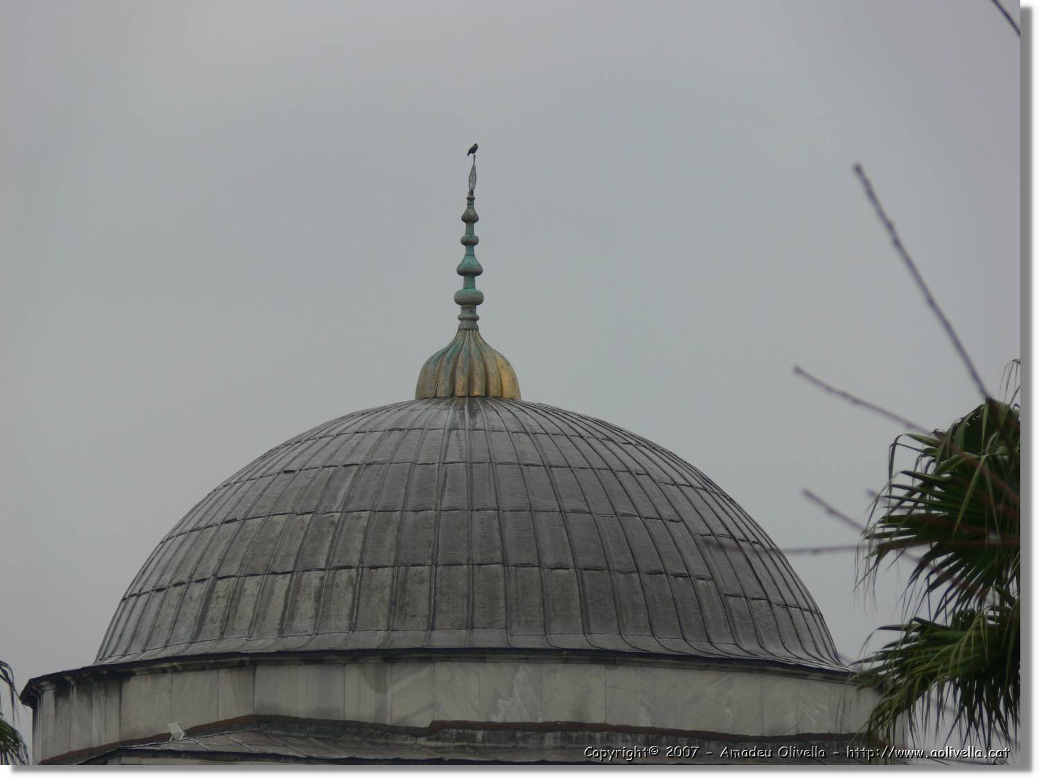 Istanbul_0130.jpg
