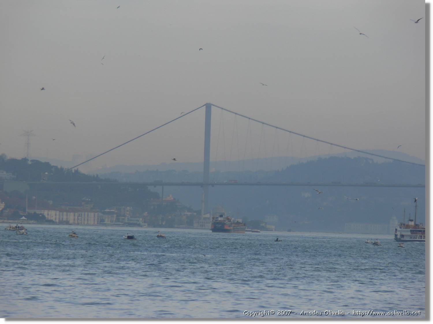 Istanbul_0842.jpg