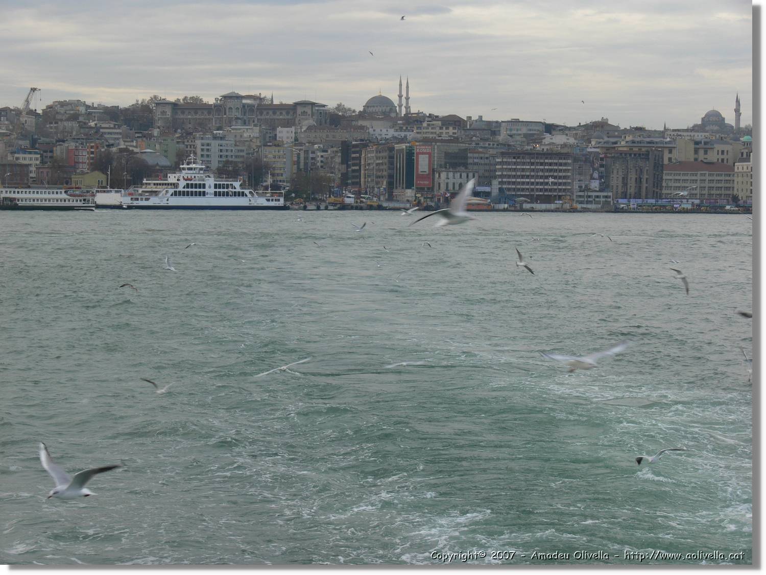 Istanbul_0850.jpg