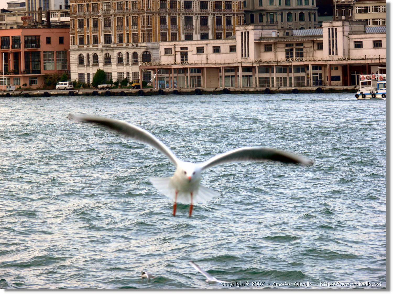Istanbul_0854.jpg
