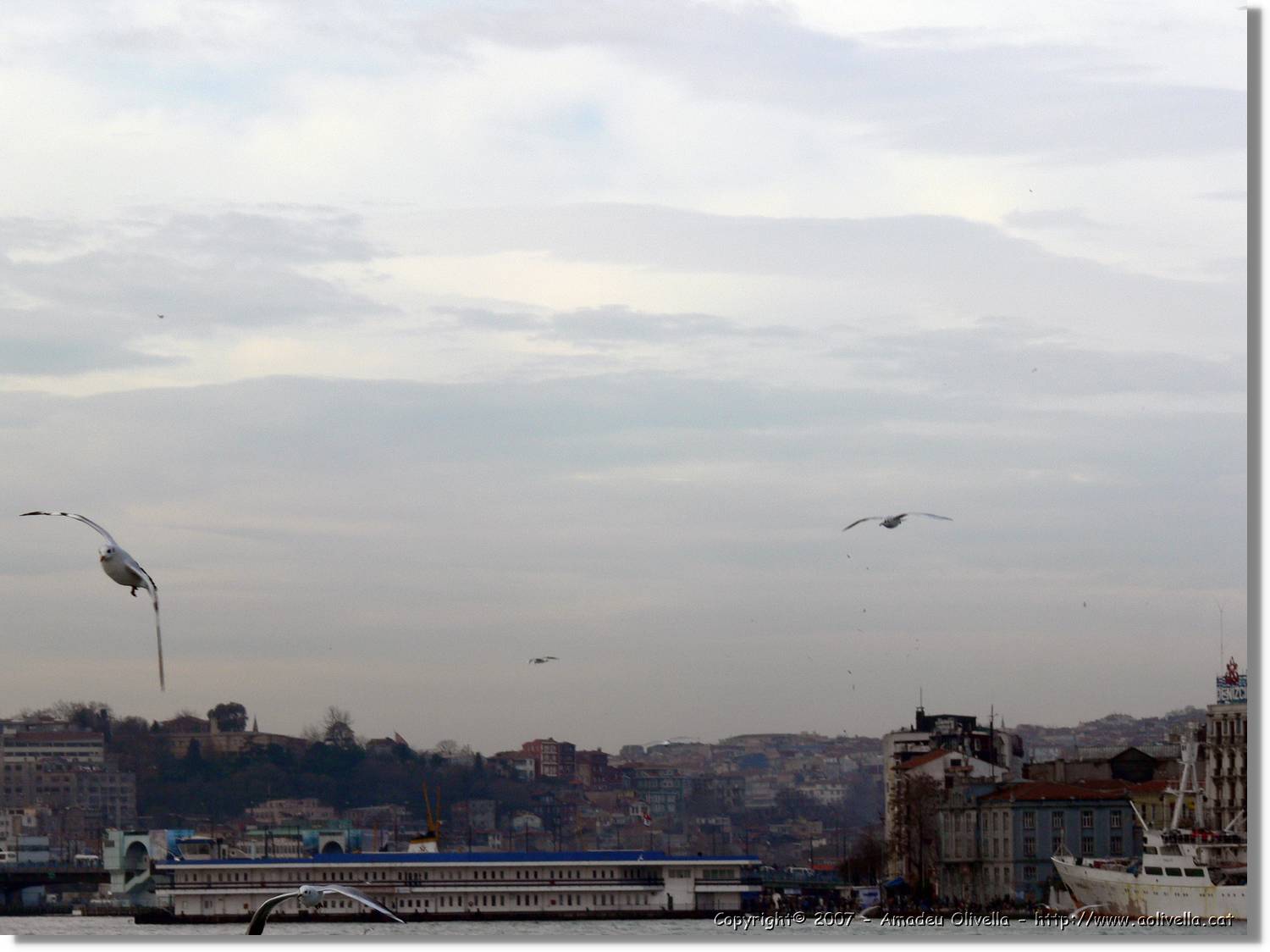 Istanbul_0858.jpg