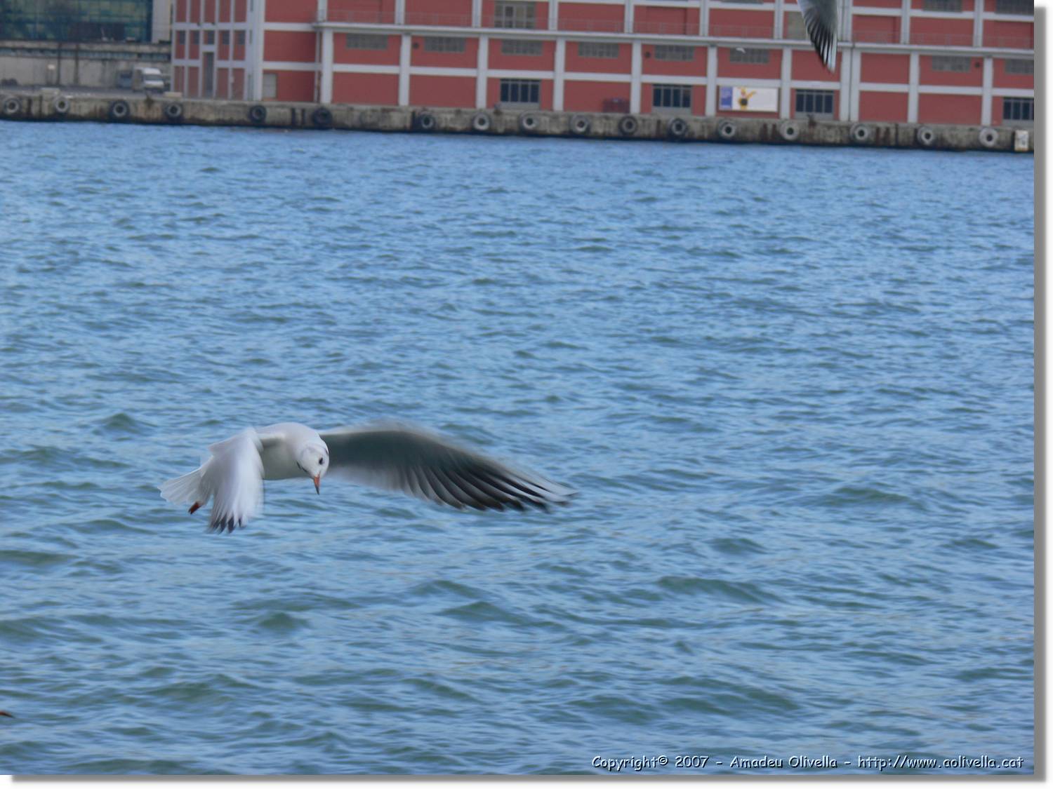 Istanbul_0859.jpg