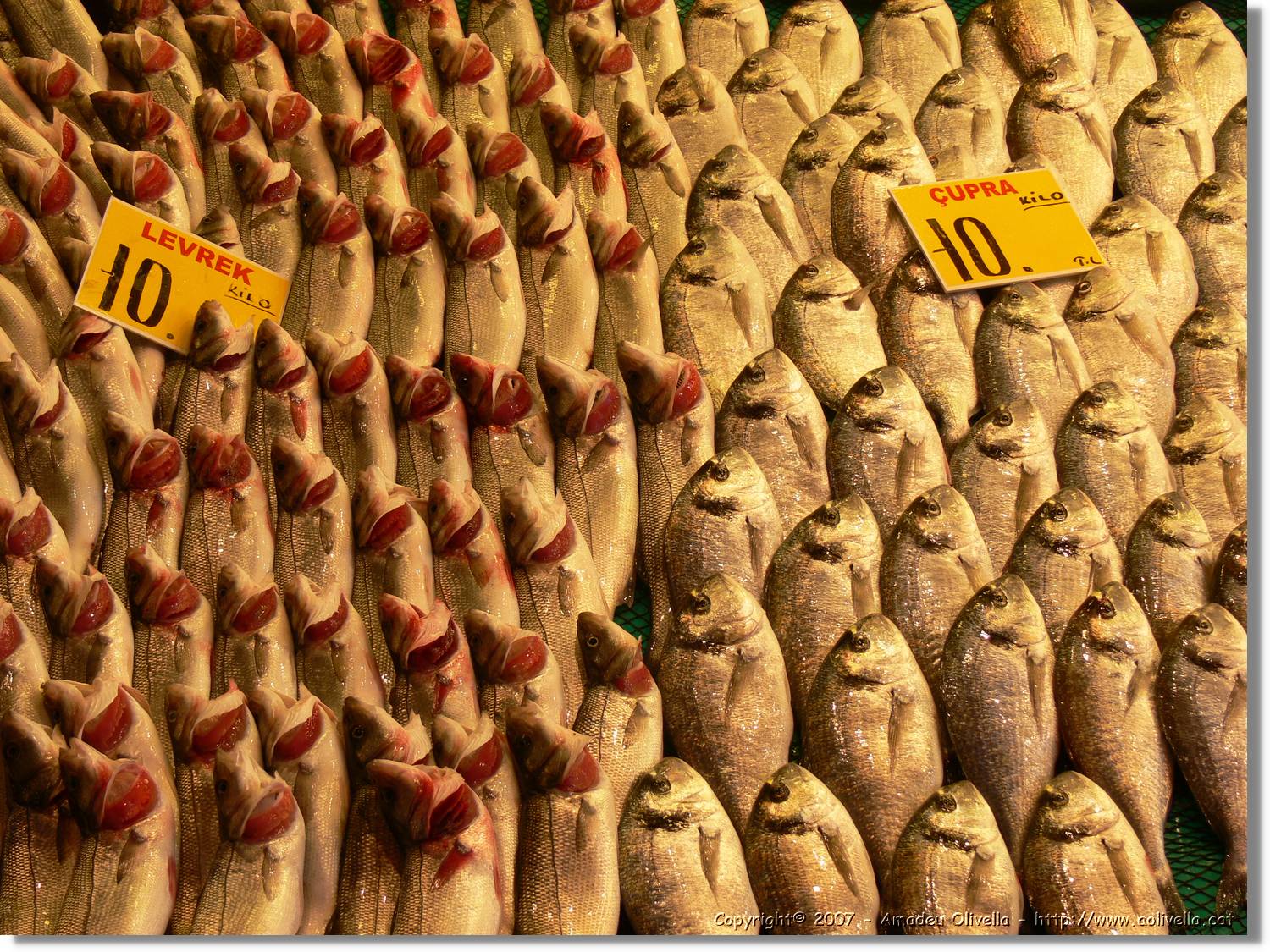 Istanbul_0905.jpg