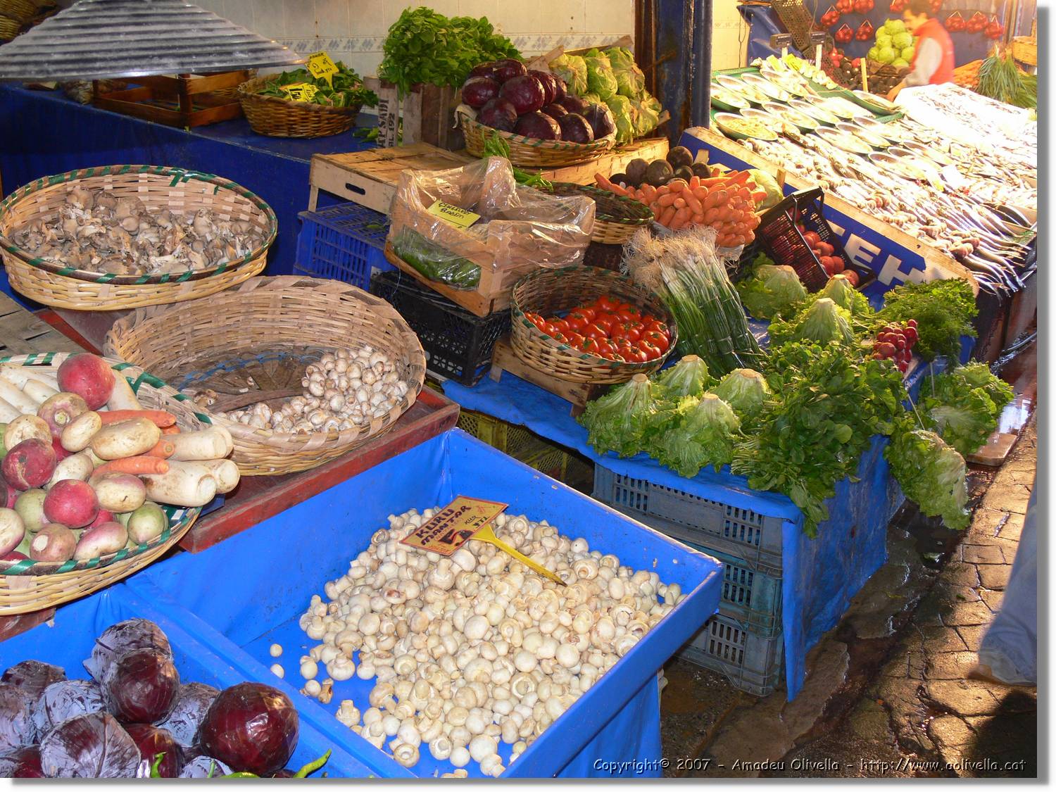 Istanbul_0906.jpg