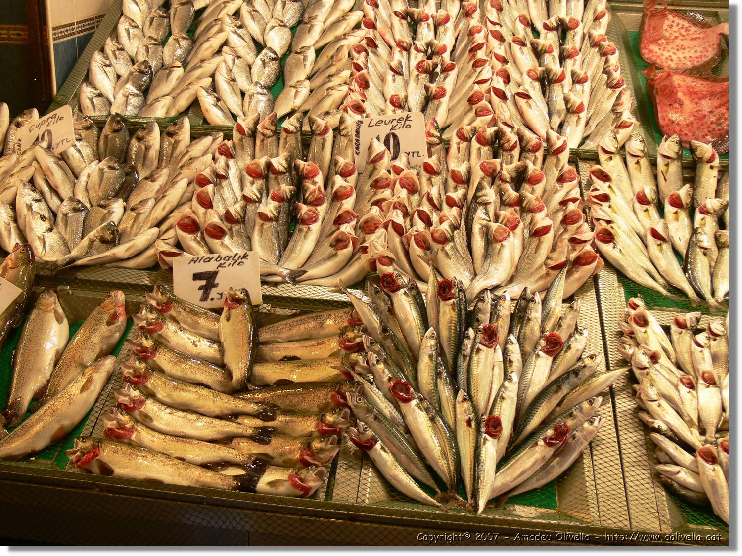 Istanbul_0908.jpg