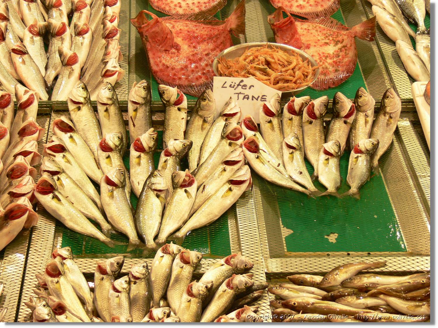 Istanbul_0909.jpg