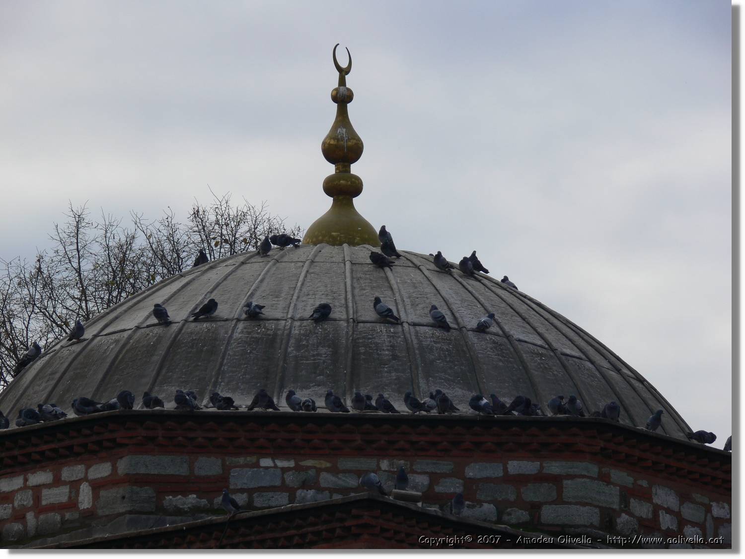 Istanbul_0915.jpg