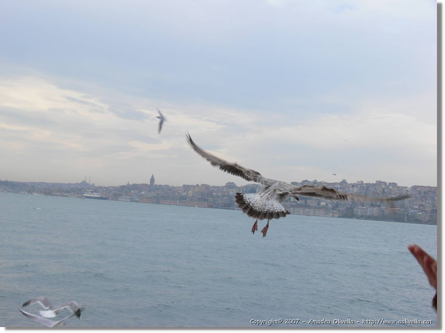 Istanbul_0947.jpg