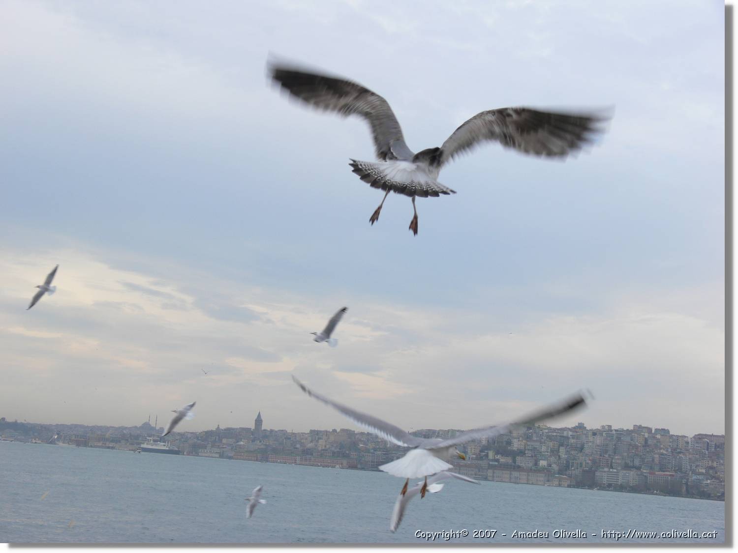 Istanbul_0948.jpg
