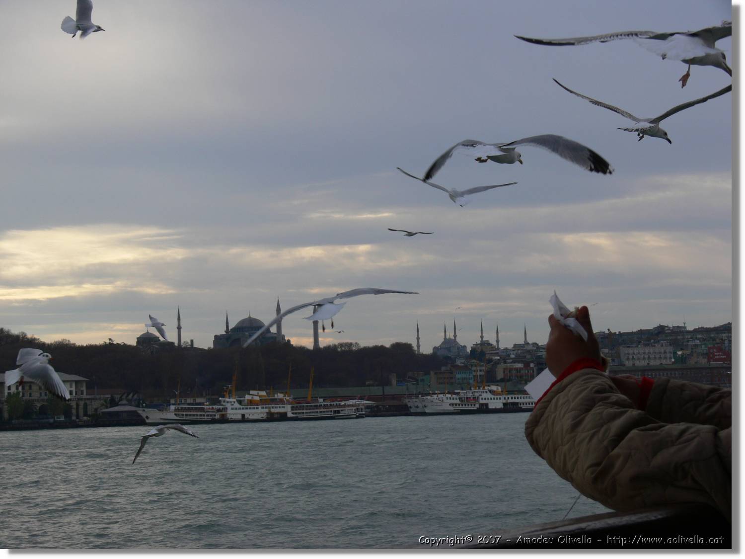 Istanbul_0956.jpg