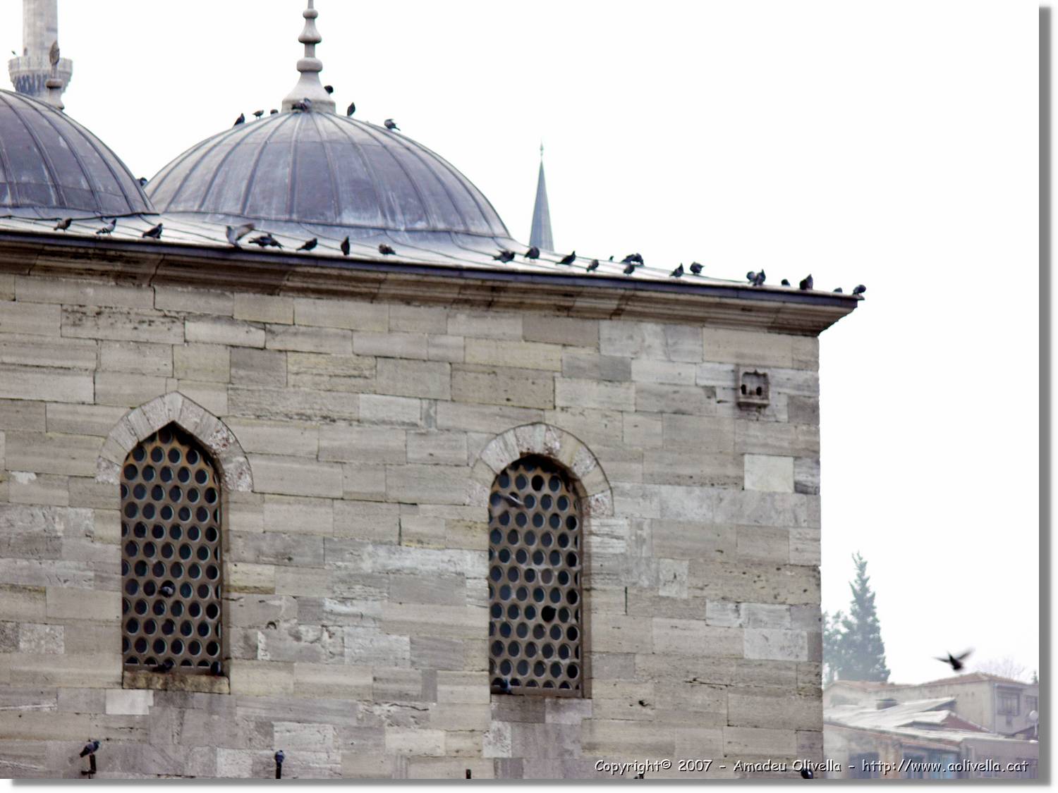 Istanbul_1029.jpg