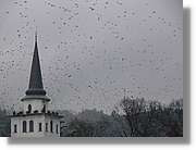 Istanbul_0175.jpg