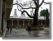 Istanbul_0312.jpg