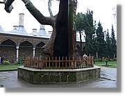 Istanbul_0319.jpg