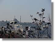 Istanbul_0665.jpg