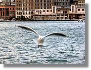 Istanbul_0854.jpg