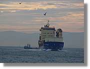 Istanbul_0864.jpg
