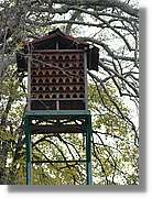 Istanbul_0898.jpg