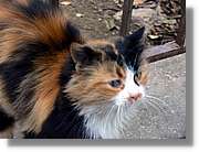 Istanbul_0923.jpg