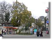 Istanbul_0938.jpg