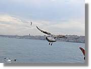Istanbul_0947.jpg