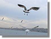 Istanbul_0948.jpg