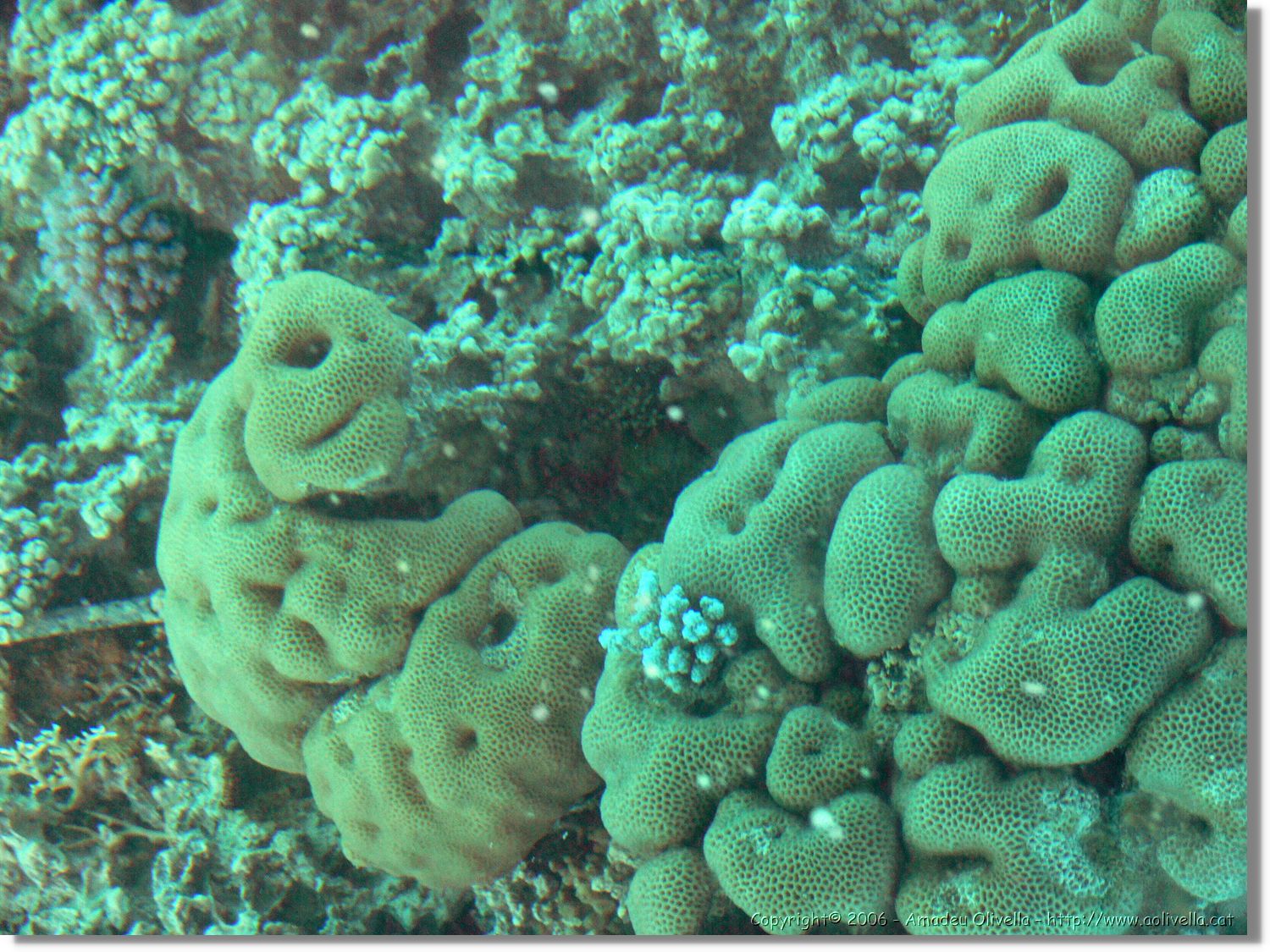 Aqaba_024.jpg
