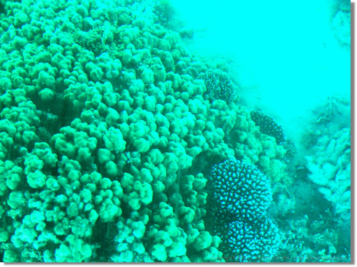 Aqaba_029.jpg